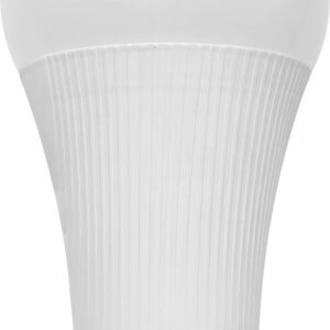 LED Blub - 12W Premimum